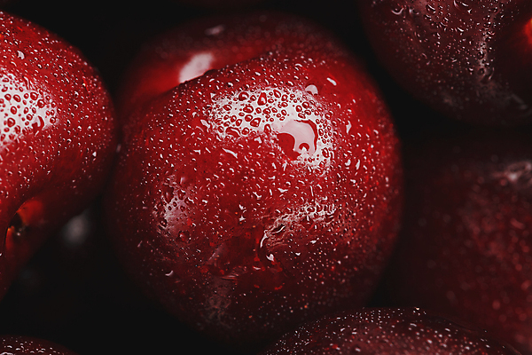 포토 JPG 해외이미지 실내 근접촬영 사람없음 빨간색 물방울 체리 해외포토 뷰포인트 컬러 과일 내부 파일형식 이미지허브