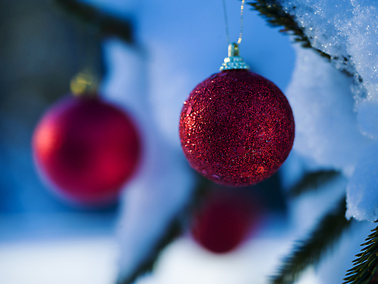 포토 JPG 해외이미지 주간 크리스마스장식 겨울 매달리기 사람없음 야외 아웃포커스 눈 걸림 오너먼트 해외포토 자연요소 계절 크리스마스 모션 날씨 촬영기법 파일형식 이미지허브