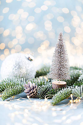포토 JPG 해외이미지 잎 크리스마스 실내 사람없음 아웃포커스 크리스마스트리 미니어처 소프트포커스 보케 솔방울 미니트리 오너먼트 해외포토 식물 기념일 크리스마스장식 촬영기법 내부 모형 파일형식 이미지허브
