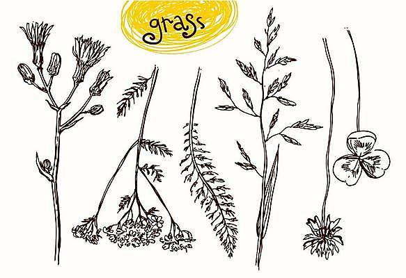 EPS 해외이미지 모양 디자인 배너 꽃 실루엣 백그라운드 잎 꽃무늬 패턴 일러스트 자연 벽지 추상 그래픽 장식 여름 정원 봄 낭만 들꽃 수확 흰색 인사 신용카드 화려 스케치 허브 그림 유기농 복고 초대 손그림 엘리먼트 작약 스타일 해외일러스트 식물 웰빙 계절 컬러 컨셉 무늬 농업 촬영기법 미술 금융 예절 생태계 파일형식 벡터 이미지허브