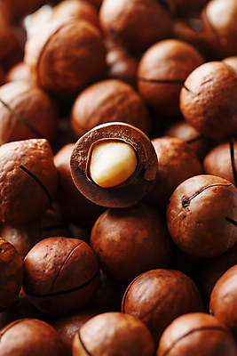 포토 JPG 해외이미지 근접촬영 사람없음 견과류 껍질 가득함 유기농 마카다미아 해외포토 웰빙 뷰포인트 파일형식 이미지허브