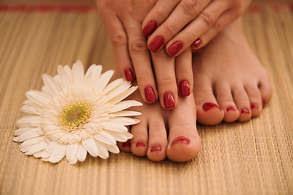 포토 JPG 해외이미지 손 꽃 발 신체부위 네일아트 페디큐어 해외포토 식물 사람 뷰티 파일형식 이미지허브