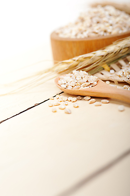 포토 JPG 해외이미지 근접촬영 사람없음 아웃포커스 농작물 낟알 보리 보리이삭 해외포토 뷰포인트 농업 곡류 촬영기법 이삭 파일형식 이미지허브