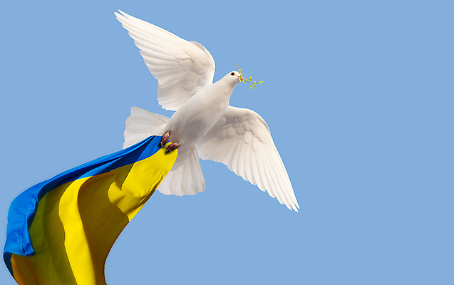 포토 JPG 해외이미지 동물 종교 백그라운드 컨셉 잎 날개 자연 조류 하늘 추상 파노라마 사랑 사람없음 치료 파란색 빛 세계 태양 교회 평화 믿음 환경 희망 일몰 자유 흰색 나뭇가지 비행 우아함 심볼 순수 깃털 올리브 비둘기 신성 천국 단아함 무료 신앙심 충실 해외포토 자연요소 나무 식물 열매 감정 컬러 무늬 의학 종교건축 촬영기법 건물 노을 생태계 파일형식 이미지허브