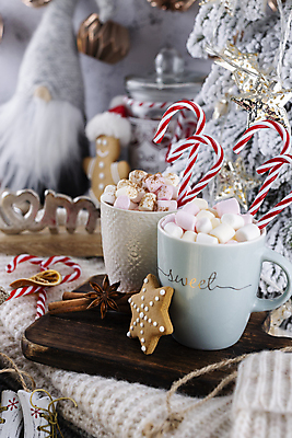 포토 JPG 해외이미지 크리스마스 크리스마스용품 실내 사람없음 아웃포커스 쿠키 코코아 지팡이사탕 해외포토 기념일 음료 디저트 촬영기법 사탕 내부 용품 파일형식 이미지허브