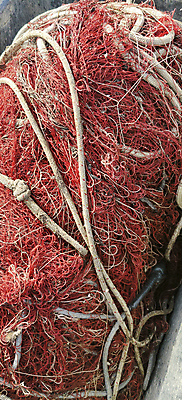 포토 JPG 해외이미지 산업 아시아 밧줄 음식 바다 백그라운드 낚시 전등 갑각류 어류 사람없음 야외 전자제품 농작물 바구니 장비 잡기 판넬 그물 어선 수집 밭일 수경재배 해외포토 동물 나라 줄 농업 배_교통 모션 레저 조명 수중동물 파일형식 이미지허브