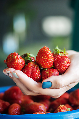 포토 JPG 해외이미지 손 딸기 들기 근접촬영 신체부위 빨간색 신선 해외포토 뷰포인트 컬러 과일 모션 사람 파일형식 이미지허브