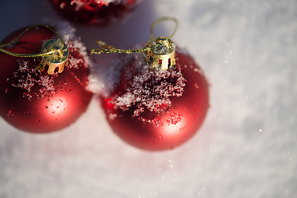 포토 JPG 해외이미지 주간 크리스마스장식 겨울 사람없음 야외 하이앵글 눈 오너먼트 해외포토 자연요소 계절 뷰포인트 크리스마스 날씨 파일형식 이미지허브