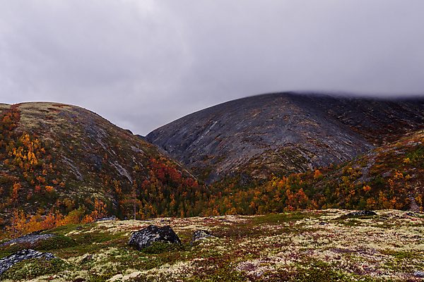 포토 JPG 해외이미지 나무 계절 호수 여행 백그라운드 잎 오렌지 자연 하늘 산 사람없음 야외 초록색 물 파란색 강 컬러풀 반사 노란색 환경 계곡 트래킹 하이킹 숲 9월 북극 러시아 북쪽 자작나무 러시아인 절정 해외포토 자연요소 서양인 식물 유럽 컬러 과일 레저 날짜 극지방 방향 생태계 파일형식 이미지허브