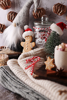 포토 JPG 해외이미지 인형 크리스마스 산타모자 크리스마스용품 유리병 실내 사람없음 미니트리 지팡이사탕 진저맨 진저쿠키 해외포토 모자_잡화 기념일 병_용기 사탕 내부 크리스마스트리 쿠키 용품 파일형식 이미지허브