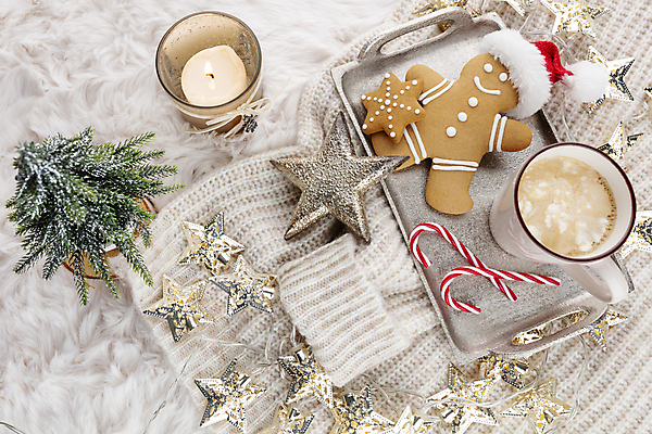 포토 JPG 해외이미지 별 크리스마스 크리스마스용품 실내 사람없음 니트 향초 코코아 미니트리 별모형 지팡이사탕 진저맨 진저쿠키 해외포토 자연요소 기념일 음료 상의 초 사탕 내부 크리스마스트리 모형 쿠키 용품 파일형식 이미지허브