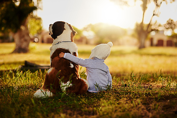 포토 JPG 해외이미지 주간 한마리 남자 반려견 어린이 휴식 함께함 한명 앉기 소년 상반신 야외 뒷모습 아웃포커스 친구 반려동물 우정 강아지 대형견 소년한명만 어깨에손 해외포토 자연요소 동물 1 뷰포인트 컨셉 관계 모션 촬영기법 사람 개 남자한명만 소년만 파일형식 이미지허브