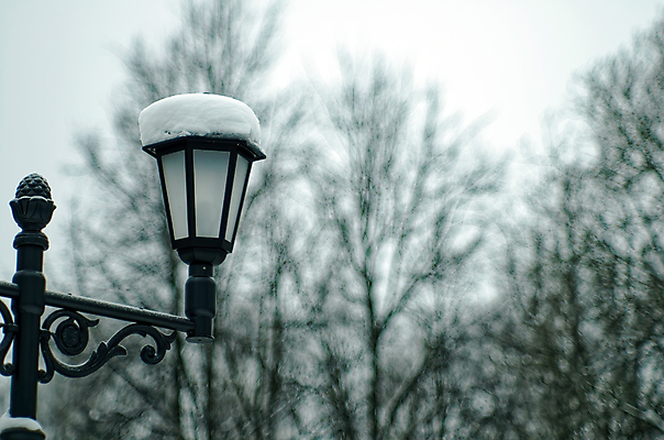 포토 JPG 해외이미지 나무 식물 계절 공원 백그라운드 겨울 밭 자연 하늘 날씨 추상 흑백 풍경 사람없음 야외 목재 파란색 빛 환경 냉동 얼음 검은색 추위 흰색 나뭇가지 숲 12월 서리 러시아 장면 솜털 1월 내추럴 뿌연 눈내림 겨울풍경 해외포토 자연요소 공공시설 유럽 컬러 무늬 농업 재료 눈_날씨 촬영기법 날짜 생태계 파일형식 이미지허브