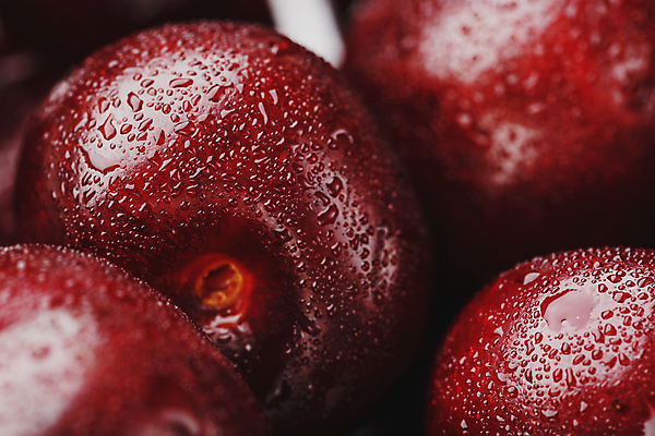 포토 JPG 해외이미지 실내 근접촬영 사람없음 아웃포커스 빨간색 물방울 체리 소프트포커스 해외포토 뷰포인트 컬러 과일 촬영기법 내부 파일형식 이미지허브