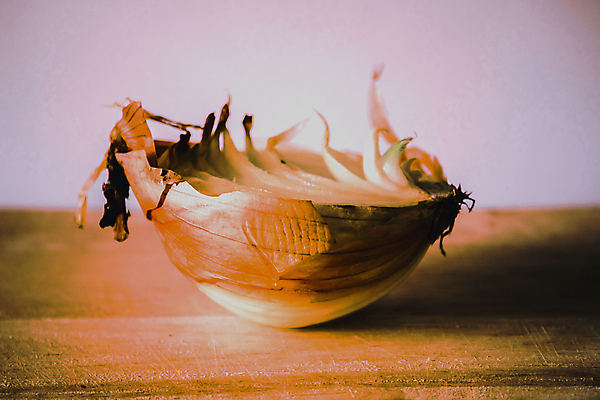 포토 JPG 해외이미지 음식 컨셉 잎 채소 자연 검은배경 양파 실내 건강 마늘 사람없음 가로 빨간색 초록색 컬러풀 한개 새싹 손상 성장 흰색 시간 주름 지저분함 질병 위험 오브젝트 낭비 고립 곰팡이 모종 변태 썩음 옛날 투쟁 해로움 해외포토 식물 1 컬러 백그라운드 의학 내부 검은색 감각 생태계 파일형식 이미지허브