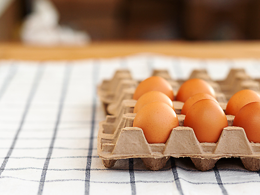포토 JPG 해외이미지 실내 사람없음 아웃포커스 계란 식탁보 계란판 해외포토 촬영기법 내부 알 파일형식 이미지허브