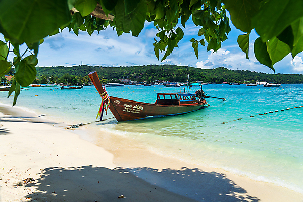 포토 JPG 해외이미지 주간 하늘 나뭇잎 그림자 해변 사람없음 야외 해외포토 자연요소 바다 잎 파일형식 이미지허브