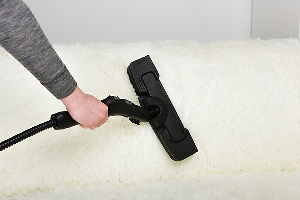 포토 JPG 해외이미지 직업 라이프스타일 손 여자 가구 백그라운드 컨셉 가사 일러스트 회사 가정 표면 노동자 아파트 주택 실내 사람 성인 사람없음 기계 카펫 방 덮개 직물 업무 얼룩 수증기 세제 서비스 먼지 리빙 청소부 돌봄 위생관리 정리함 진공 해외포토 생활용품 비즈니스 모션 관리 내부 건물 생활 신체부위 뚜껑 작업 파일형식 이미지허브