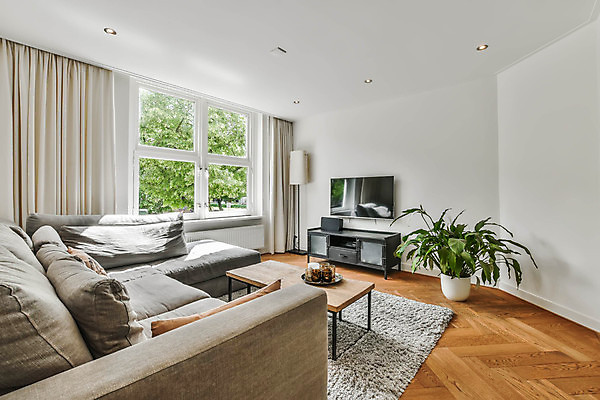 포토 JPG 해외이미지 화분 거실 창문 탁자 실내 사람없음 인테리어 소파 텔레비전 카펫 스탠드 커튼 심플 거실장 해외포토 디자인 가구 의자 조명 내부 전자제품 파일형식 이미지허브