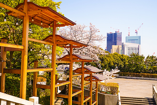 포토 JPG 해외이미지 주간 사람없음 야외 건물 일본 봄 신사_일본건축 해외포토 자연요소 건축물 계절 아시아 일본건축 파일형식 이미지허브