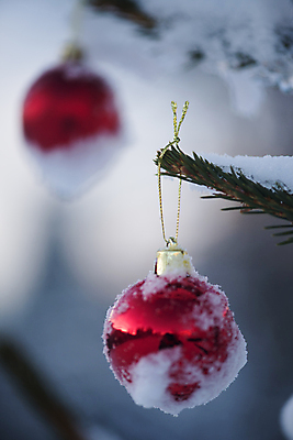 포토 JPG 해외이미지 주간 크리스마스장식 겨울 매달리기 사람없음 야외 아웃포커스 눈 걸림 오너먼트 해외포토 자연요소 계절 크리스마스 모션 날씨 촬영기법 파일형식 이미지허브