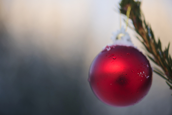 포토 JPG 해외이미지 주간 크리스마스장식 겨울 매달리기 사람없음 야외 아웃포커스 눈 걸림 오너먼트 해외포토 자연요소 계절 크리스마스 모션 날씨 촬영기법 파일형식 이미지허브