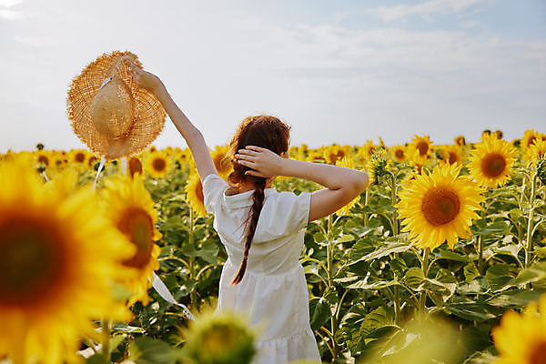 포토 JPG 해외이미지 주간 여자 꽃밭 해바라기 한명 들기 풍경 상반신 성인 야외 뒷모습 여름 소프트포커스 밀짚모자 성인여자한명만 해외포토 자연요소 모자_잡화 1 계절 꽃 뷰포인트 모션 촬영기법 사람 여자한명만 성인여자만 파일형식 이미지허브