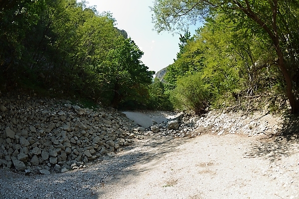 포토 JPG 해외이미지 나무 여행 백그라운드 자연 하늘 산 건조 사람없음 야외 초록색 물 파란색 강 갈색 환경 침대 뜨거움 변화 숲 땅 먼지 장면 진흙 가뭄 내추럴 땅바닥 어안 재앙 해외포토 자연요소 식물 컬러 가구 컨셉 날씨 바닥 생태계 파일형식 이미지허브