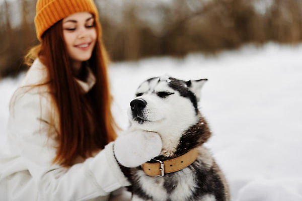 포토 JPG 해외이미지 여자 겨울 한명 상반신 성인 야외 설원 산책 추위 강아지 시베리안허스키 방한용품 성인여자한명만 해외포토 1 계절 휴식 눈_날씨 사람 반려동물 개 오브젝트 여자한명만 성인여자만 파일형식 이미지허브