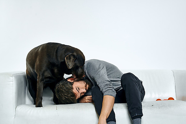 포토 JPG 해외이미지 백인 한마리 남자 반려견 함께함 실내 한명 앉기 상반신 성인 앞모습 친구 반려동물 소파 눕기 우정 강아지 래브라도리트리버 즐거움 흰배경 냄새 성인남자한명만 해외포토 서양인 동물 1 감정 뷰포인트 백그라운드 컨셉 의자 관계 모션 사람 내부 흰색 개 리트리버 남자한명만 성인남자만 파일형식 이미지허브