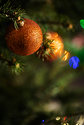 포토 JPG 해외이미지 전통 계절 행복 크리스마스 거실 가족 휴가 전등 크리스마스카드 주택 기념 실내 사랑 사람없음 장식 반짝임 기쁨 방 나뭇가지 축하 최고 닫기 12월 공예 보케 내추럴 구성 묘목 블러 신앙심 가문비나무 해외포토 나무 기념일 감정 컨셉 관계 모션 조명 카드_감사 취미 내부 건물 날짜 파일형식 이미지허브