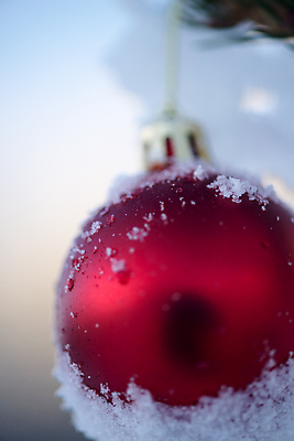 포토 JPG 해외이미지 주간 크리스마스장식 겨울 근접촬영 사람없음 야외 아웃포커스 눈 오너먼트 해외포토 자연요소 계절 뷰포인트 크리스마스 날씨 촬영기법 파일형식 이미지허브