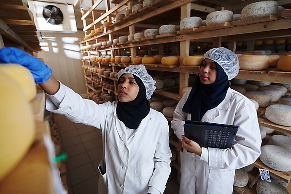 포토 JPG 해외이미지 여자 공장 노동자 치즈 들기 상반신 성인 두명 앞모습 옆모습 노트북 제조 소프트포커스 확인 저장 발효 수납 손뻗기 숙성 위생가운 위생모자 저장소 성인여자만 해외포토 직업 모자_잡화 뷰포인트 공업 모션 유제품 촬영기법 사람 전자제품 가운 여자만 성인만 파일형식 이미지허브