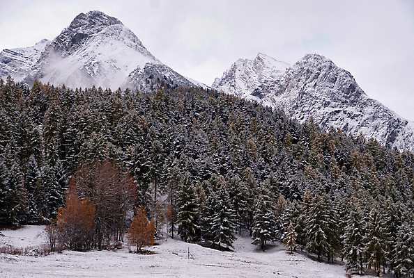 포토 JPG 해외이미지 나무 겨울 자연 산 풍경 사람없음 추위 안개 가을 스위스 언덕 알프스 여관 뿌연 해외포토 식물 계절 유럽 숙소 날씨 생태계 파일형식 이미지허브