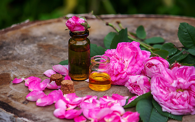 포토 JPG 해외이미지 식물 라이프스타일 꽃잎 꽃 분홍색 백그라운드 잎 꽃무늬 자연 유리 휴식 건강 선물 사람없음 목재 물 뷰티 약 장미 스파 목욕 화장품 벚꽃 마사지 고급 맛 허브 향수 명상 유기농 향기 냄새 아로마 부드러움 아로마테라피 내추럴 에센스 추출 피펫 해외포토 자연요소 나무 웰빙 컬러 컨셉 무늬 재료 의학 재질 실험기구 생활 청결 감각 생태계 테라피 파일형식 이미지허브