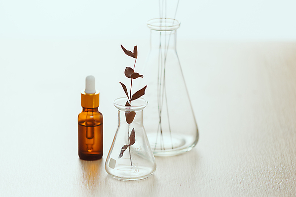 포토 JPG 해외이미지 식물 잎 실내 사람없음 아웃포커스 화장품 흰배경 삼각플라스크 앰플 에스테틱 해외포토 백그라운드 촬영기법 내부 뷰티 흰색 플라스크 파일형식 이미지허브