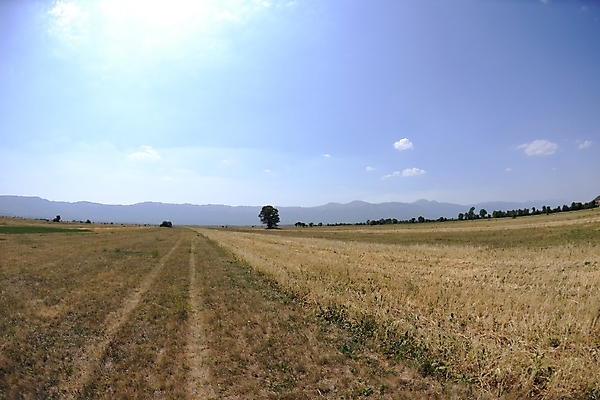 포토 JPG 해외이미지 나무 식물 구름 계절 공원 유럽 여행 백그라운드 밭 자연 하늘 아침 산 파노라마 풍경 초원 사람없음 야외 초록색 여름 파란색 빛 햇빛 태양 일출 환경 맑음 일몰 봄 전원 시골 신선 숲 땅 언덕 각도 장면 내추럴 어안 평야 해외포토 주간 자연요소 공공시설 나라 컬러 농업 날씨 촬영기법 노을 전기에너지 생태계 파일형식 이미지허브