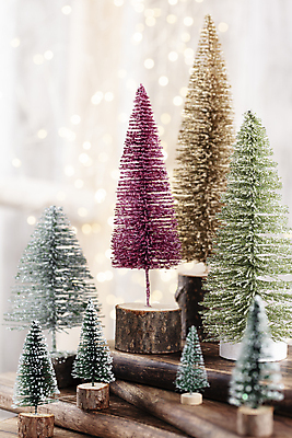 포토 JPG 해외이미지 크리스마스 실내 사람없음 아웃포커스 크리스마스트리 여러개 미니어처 소프트포커스 미니트리 해외포토 기념일 다수 촬영기법 내부 모형 파일형식 이미지허브