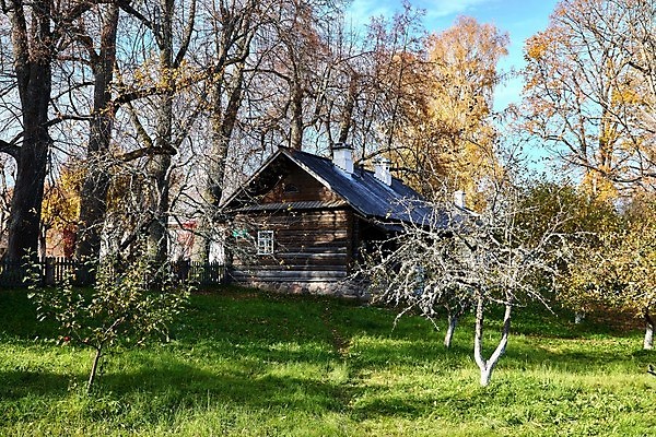포토 JPG 해외이미지 나무 전통 외관 유적 건축양식 창문 자연 지붕 주택 사람없음 건물 목재 마을 정원 손상 조약돌 시골 잡초 역사 재산 수리 떨어짐 유령 숲 맨션 버리기 조경 리빙 애국심 깨짐 복원 옛날 재앙 적자 오싹 해외포토 식물 건축물 건축 컨셉 재료 모션 금융 돌_바위 생태계 파일형식 이미지허브
