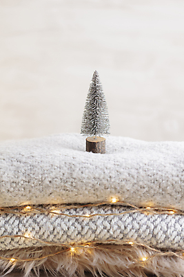 포토 JPG 해외이미지 사람없음 크리스마스트리 미니어처 스웨터 니트 미니트리 해외포토 상의 크리스마스 모형 파일형식 이미지허브