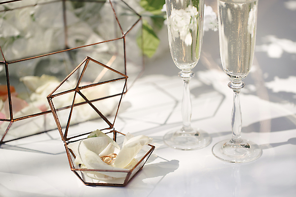 포토 JPG 해외이미지 결혼 와인잔 실내 사람없음 아웃포커스 반지 화이트와인 오브젝트 결혼반지 결혼소품 반지케이스 해외포토 술잔 장신구 촬영기법 이벤트 내부 와인 보관함 파일형식 이미지허브