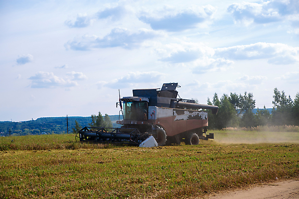 포토 JPG 해외이미지 식물 산업 음식 밭 농업 자연 하늘 옥수수 씨앗 사람없음 야외 농작물 농장 농경지 기계 장비 수확 성장 농촌 시골 업무 황금 농부 낟알 땅 시리얼 밀 보리 먼지 트랙터 밀짚 밭일 파종 호밀 해외포토 직업 곡류 농사 작업 짚 농기계 생태계 특수차량 파일형식 이미지허브