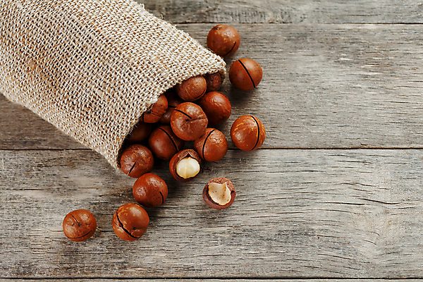 포토 JPG 해외이미지 사람없음 쏟아짐 포대자루 마카다미아 나무배경 해외포토 백그라운드 모션 견과류 자루 파일형식 이미지허브