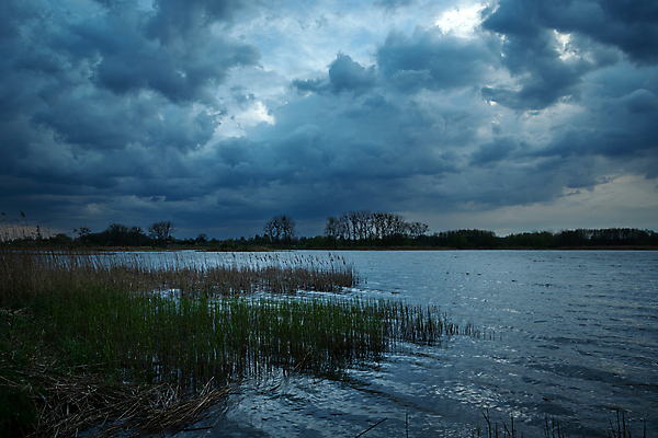 포토 JPG 해외이미지 구름 계절 호수 백그라운드 자연 하늘 표면 날씨 추상 갈대 풍경 사람없음 야외 초록색 물 파란색 빛 뷰티 반사 어둠 침묵 황혼 봄 새벽 회색 저녁 위험 질감 장면 수평선 해외포토 자연요소 식물 컬러 컨셉 무늬 소리 일몰 야간 생태계 파일형식 이미지허브