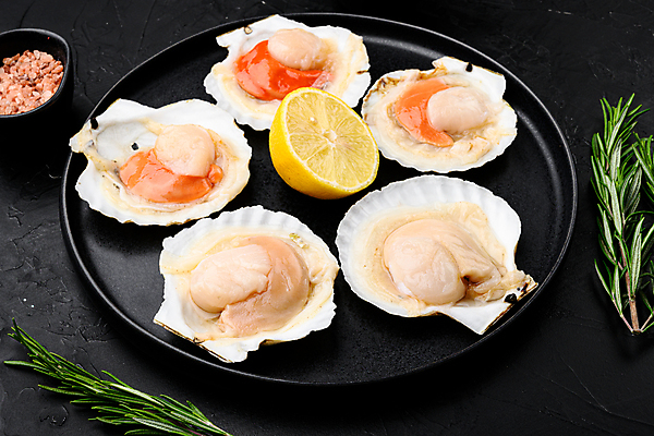 포토 JPG 해외이미지 접시 검은배경 조개 실내 사람없음 신선 날것 가리비 조갯살 해외포토 식기 백그라운드 어패류 내부 검은색 파일형식 이미지허브