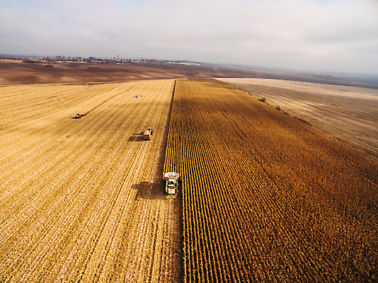 포토 JPG 해외이미지 식물 계절 산업 음식 밭 농업 자연 안테나 옥수수 씨앗 사람없음 빨간색 농장 농경지 갈색 기계 흙 봄 운전 수확 시골 업무 작업 바퀴 칼날 농부 땅 준비 트랙터 드론 땅바닥 밭일 심기 쟁기 조감도 해외포토 직업 컬러 통신 모션 곡류 바닥 농기계 생태계 특수차량 파일형식 이미지허브