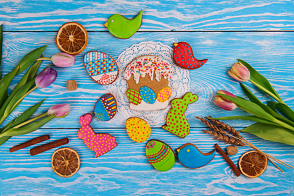 포토 JPG 해외이미지 꽃 잎 사람없음 장식 화려 부활절계란 파란배경 건과일 새모양 시나몬 토끼모양 진저쿠키 스프링클 나무배경 해외포토 모양 식물 백그라운드 컨셉 과일 부활절 건조 파란색 쿠키 계란 파일형식 이미지허브