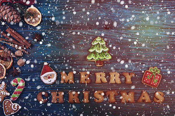 포토 JPG 해외이미지 크리스마스 실내 사람없음 선물상자 쿠키 산타모양 크리스마스트리모양쿠키 진저쿠키 나무배경 해외포토 모양 기념일 백그라운드 디저트 선물 내부 상자 산타클로스 파일형식 이미지허브