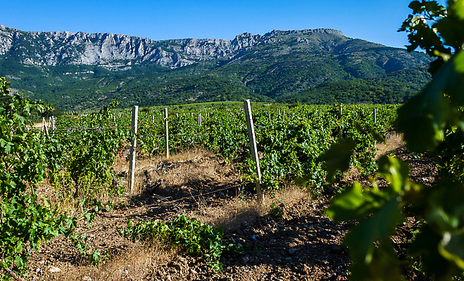 포토 JPG 해외이미지 나무 전통 종교 문화 여행 밭 농업 자연 하늘 아침 산 건강 풍경 사람없음 야외 초록색 여름 파란색 환경 맑음 성경 안개 바위 사찰 언덕 포도밭 장면 수도원 칠면조 아르메니아 해외포토 주간 식물 계절 산업 컬러 종교용품 종교건축 조류 날씨 돌_바위 생태계 파일형식 이미지허브