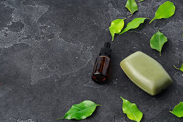 포토 JPG 해외이미지 잎 회색배경 실내 사람없음 뷰티 오브젝트 비누 공병 앰플 해외포토 식물 백그라운드 내부 위생용품 회색 병_담는 파일형식 이미지허브